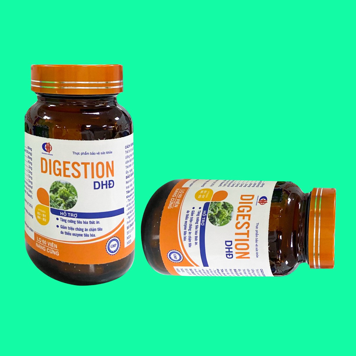 digestion-dhd-3 Digestion DHĐ