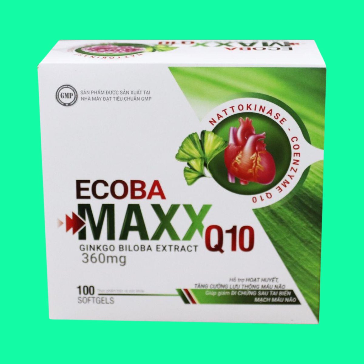 ecoba-maxx-q10-1 Ecoba Maxx Q10