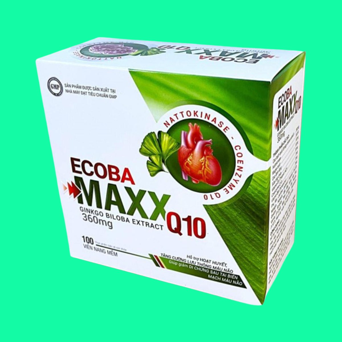 ecoba-maxx-q10-2 Ecoba Maxx Q10
