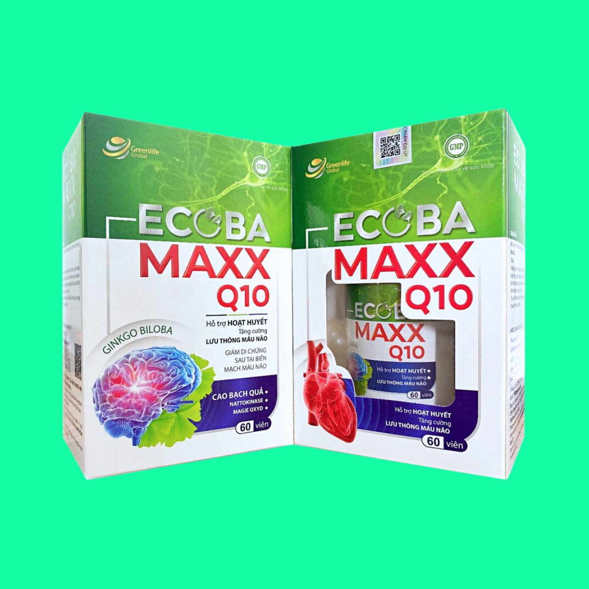 ecoba-maxx-q10-9 Ecoba Maxx Q10