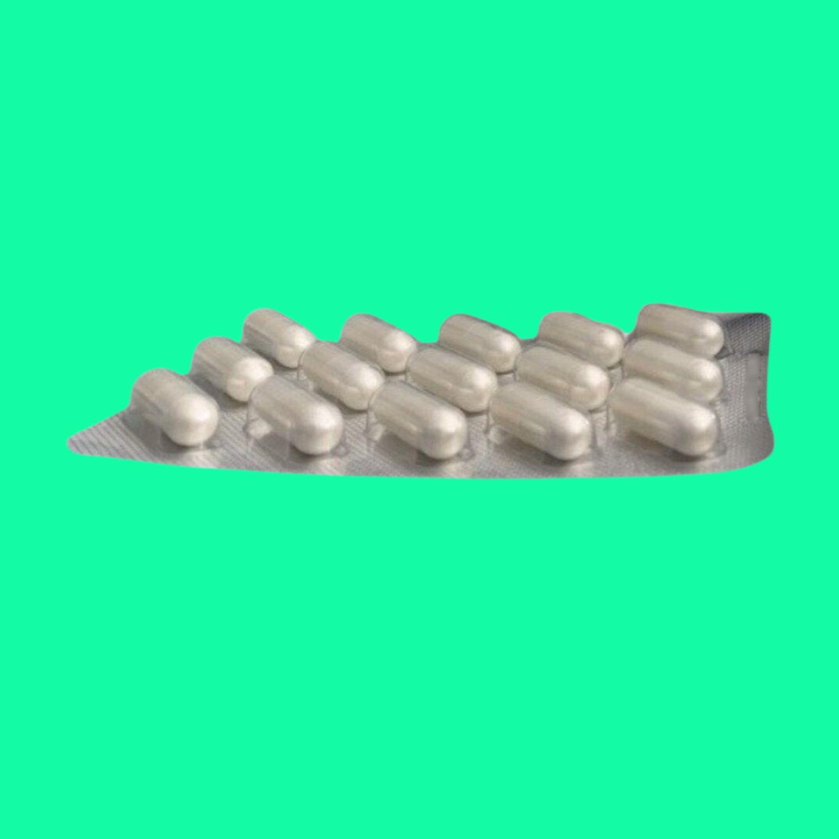 fracal-max-4 Fracal Max