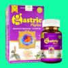 Gastric Pkplus 10 Gastric Pkplus