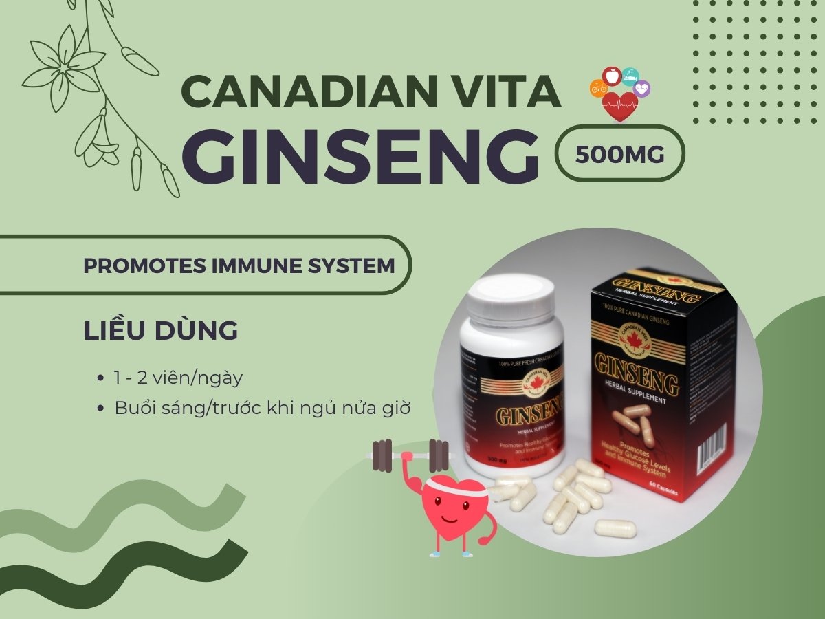 Viên nang sâm Canadian Vita Ginseng 12 Viên nang sâm Canadian Vita Ginseng