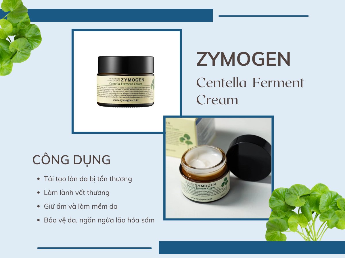 Zymogen Centella Ferment Cream 13 Zymogen Centella Ferment Cream