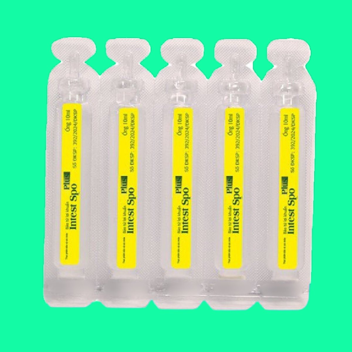 bao-tu-loi-khuan-intest-spo-plus-5 Bào tử lợi khuẩn Intest Spo Plus