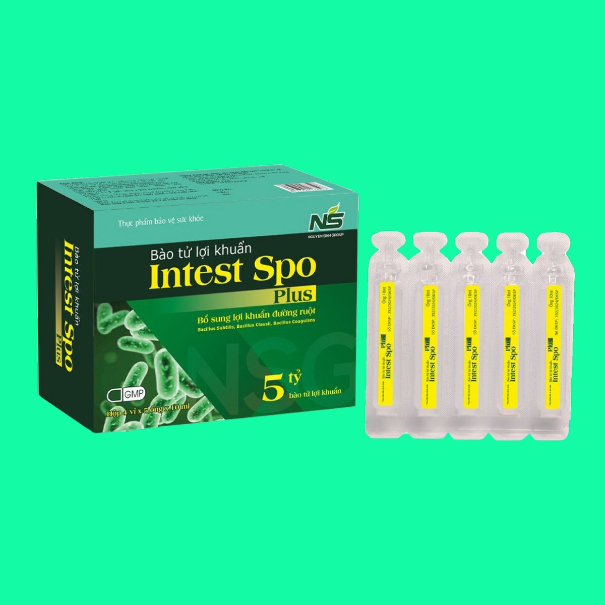 bao-tu-loi-khuan-intest-spo-plus Bào tử lợi khuẩn Intest Spo Plus