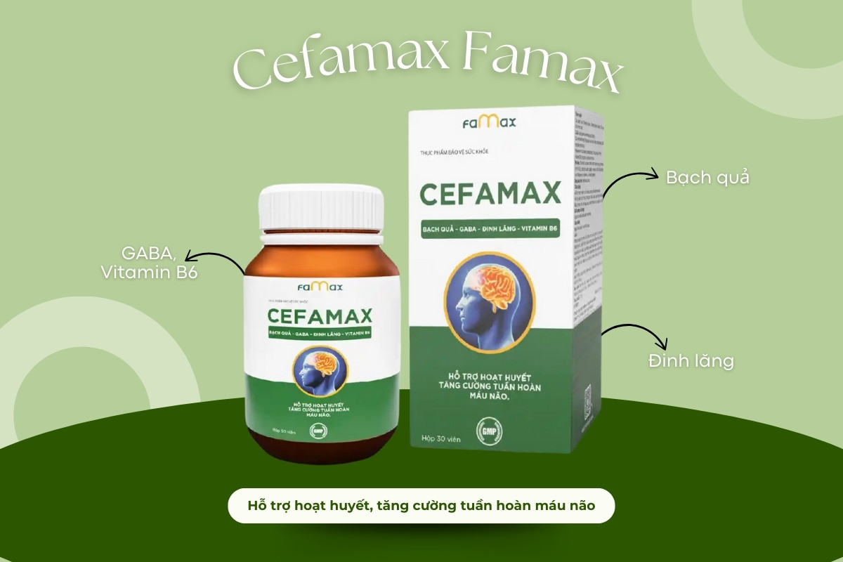 Cefamax Famax 8 Cefamax Famax hỗ trợ hoạt huyết, tăng cường tuần hoàn máu não