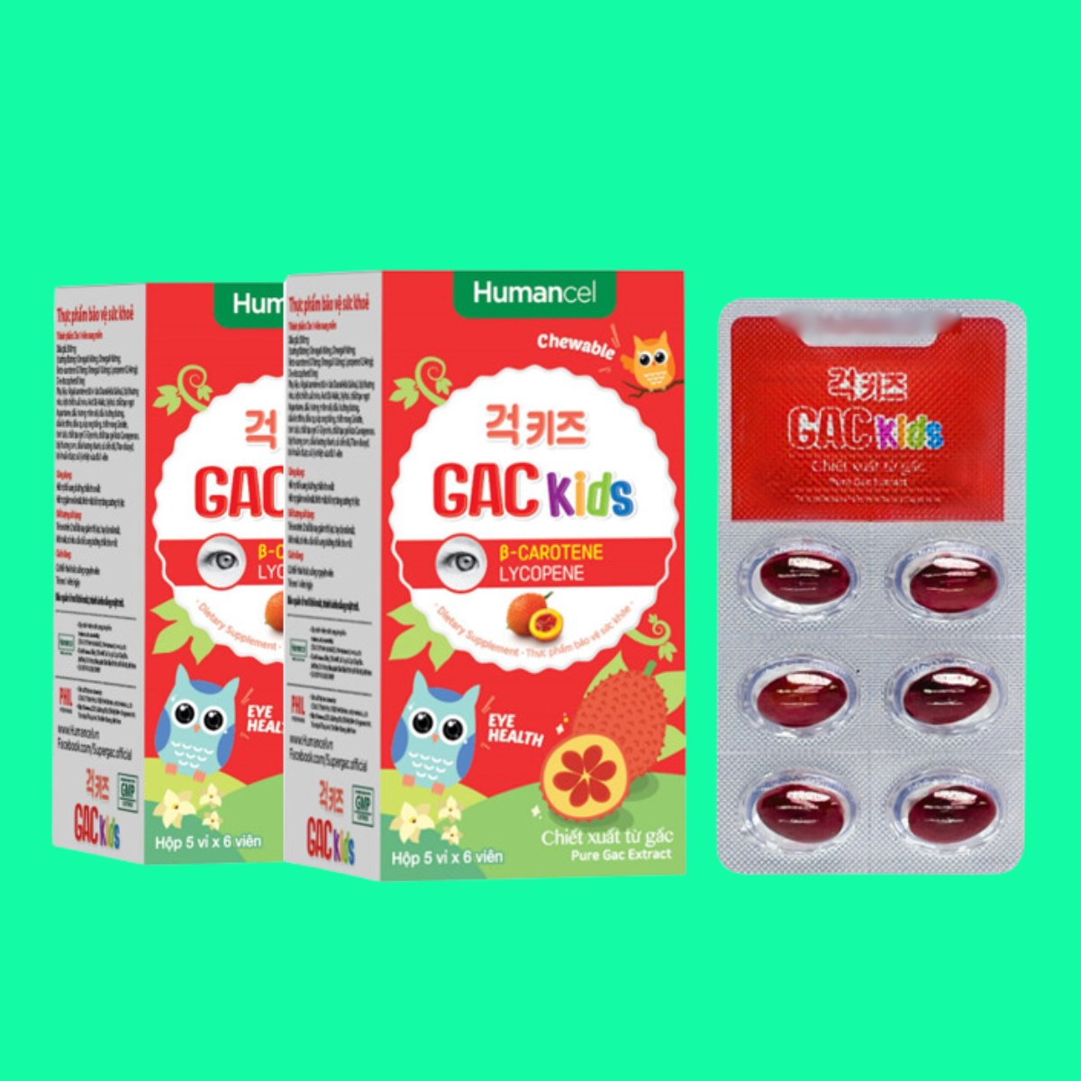 humancel-gac-kids Humancel Gac Kids