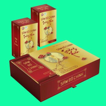 Sâm Bố Chính Trường Xuân 2 Sâm Bố Chính Trường Xuân