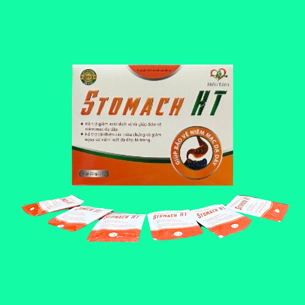 stomach-ht-1 Stomach HT