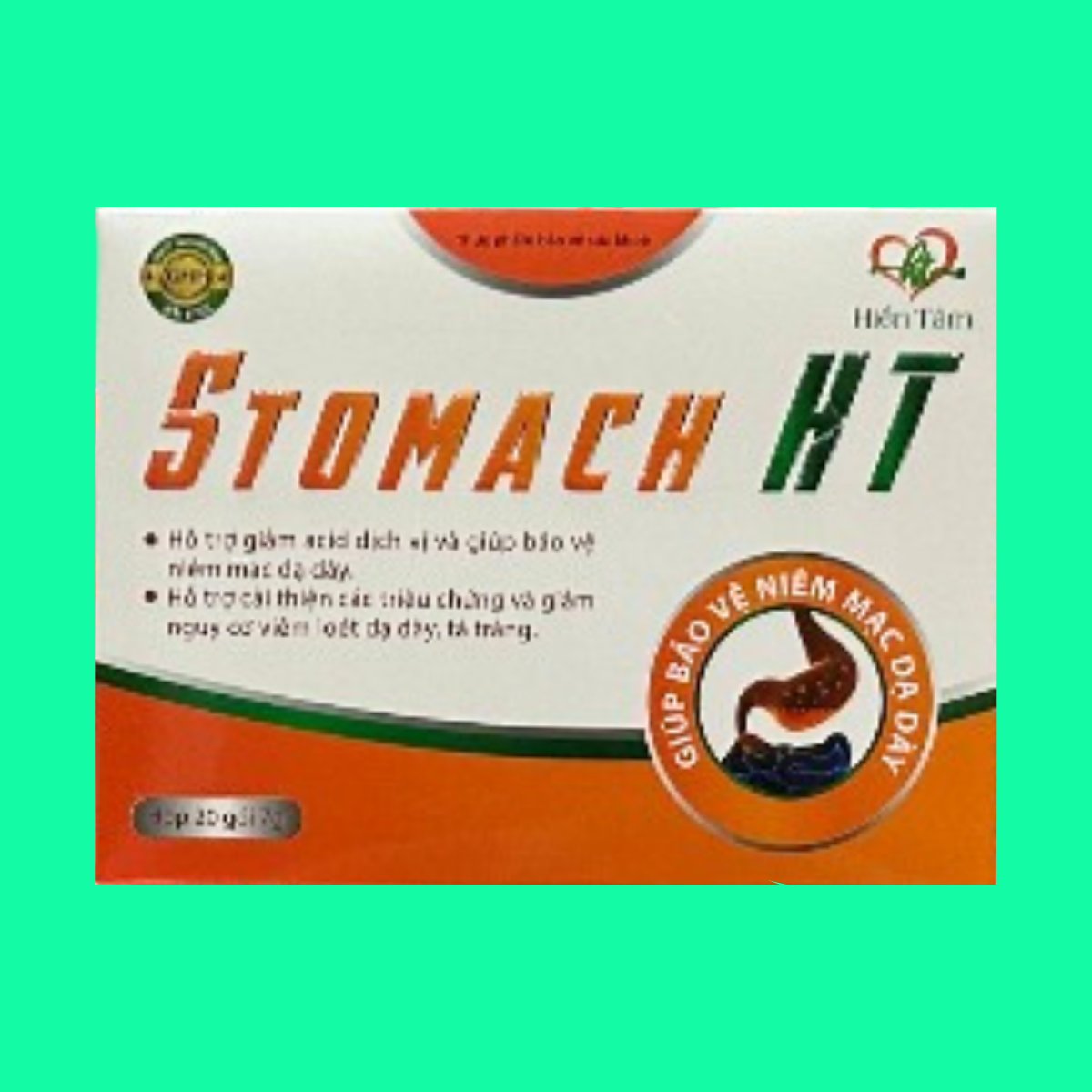 stomach-ht-2 Stomach HT