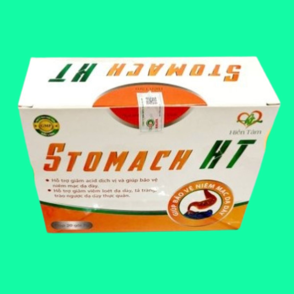 stomach-ht-4 Stomach HT