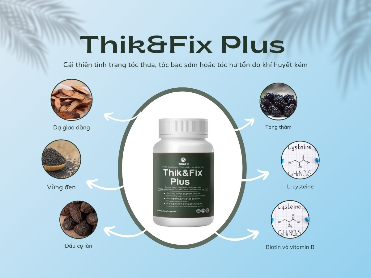 Thik&Fix Plus 11 Thik&Fix Plus