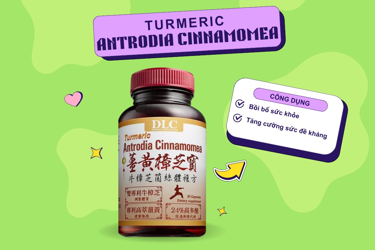 Turmeric Antrodia Cinnamomea 7 Turmeric Antrodia Cinnamomea hỗ trợ tăng cường sức đề kháng
