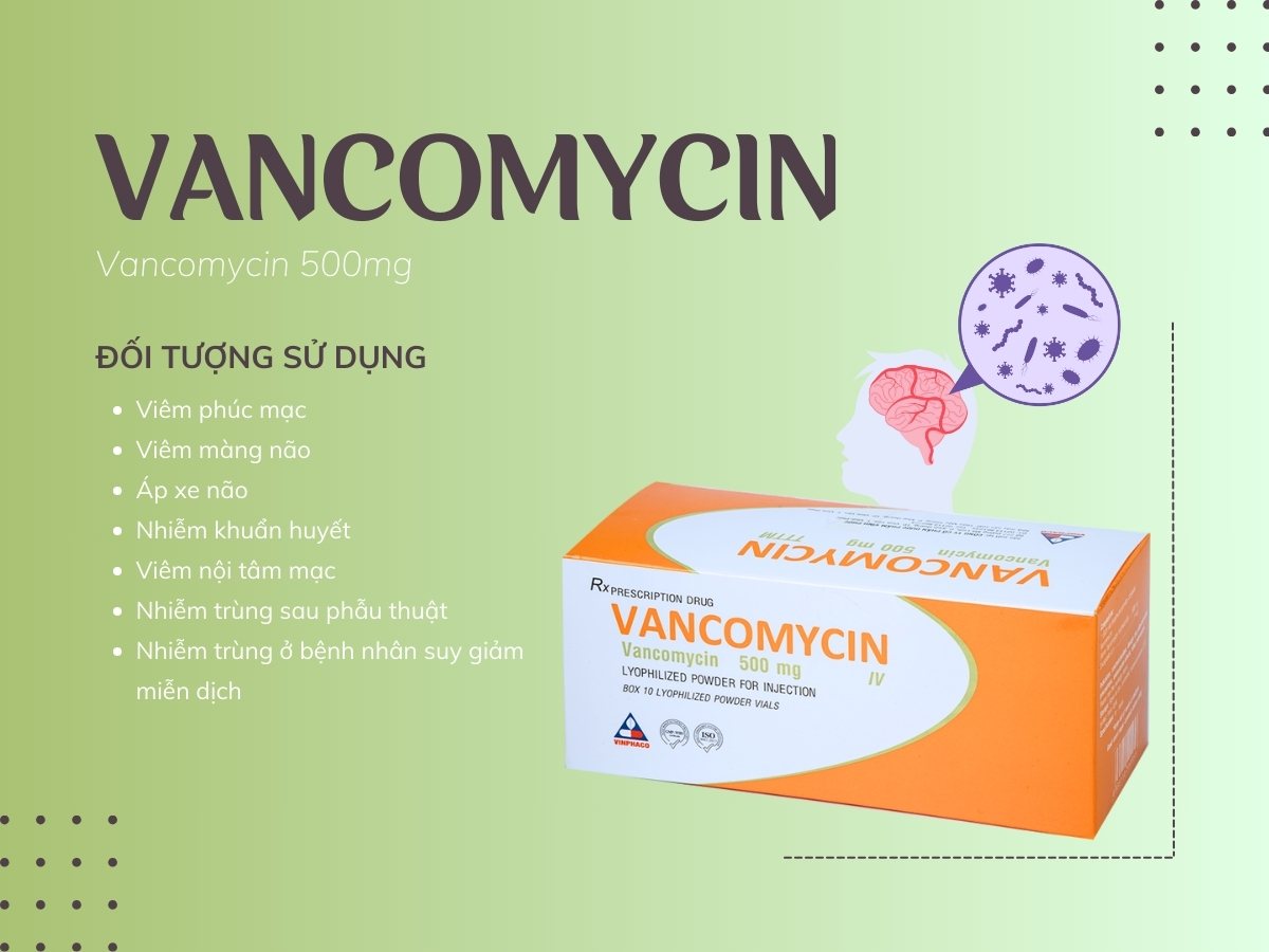 Vancomycin 500 Vinphaco 20 Thuốc Vancomycin 500 Vinphaco