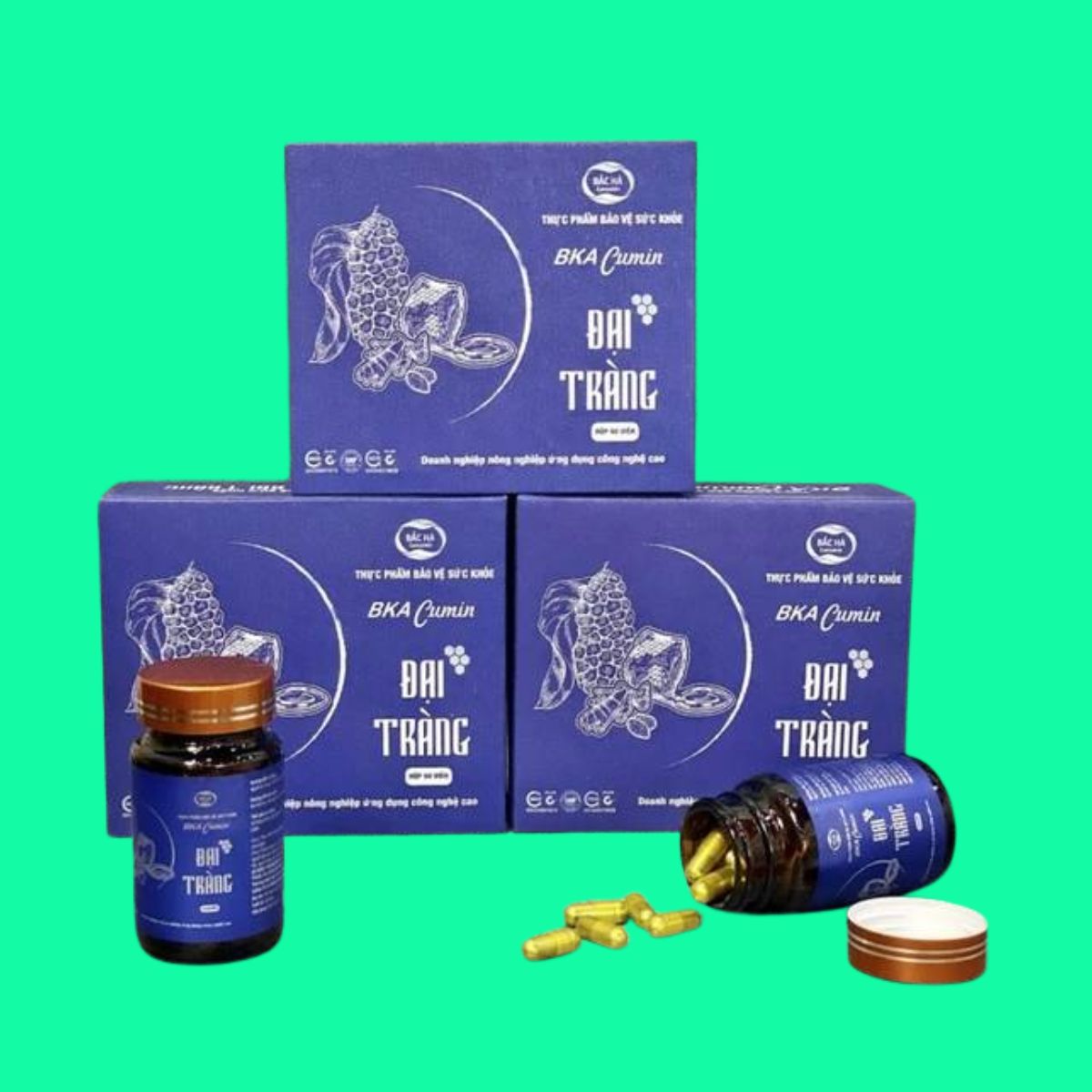Bka Cumin Đại Tràng (4) Bka Cumin Đại Tràng