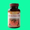 DLC Antrodia Cinnamomea 8 DLC Antrodia Cinnamomea (1)