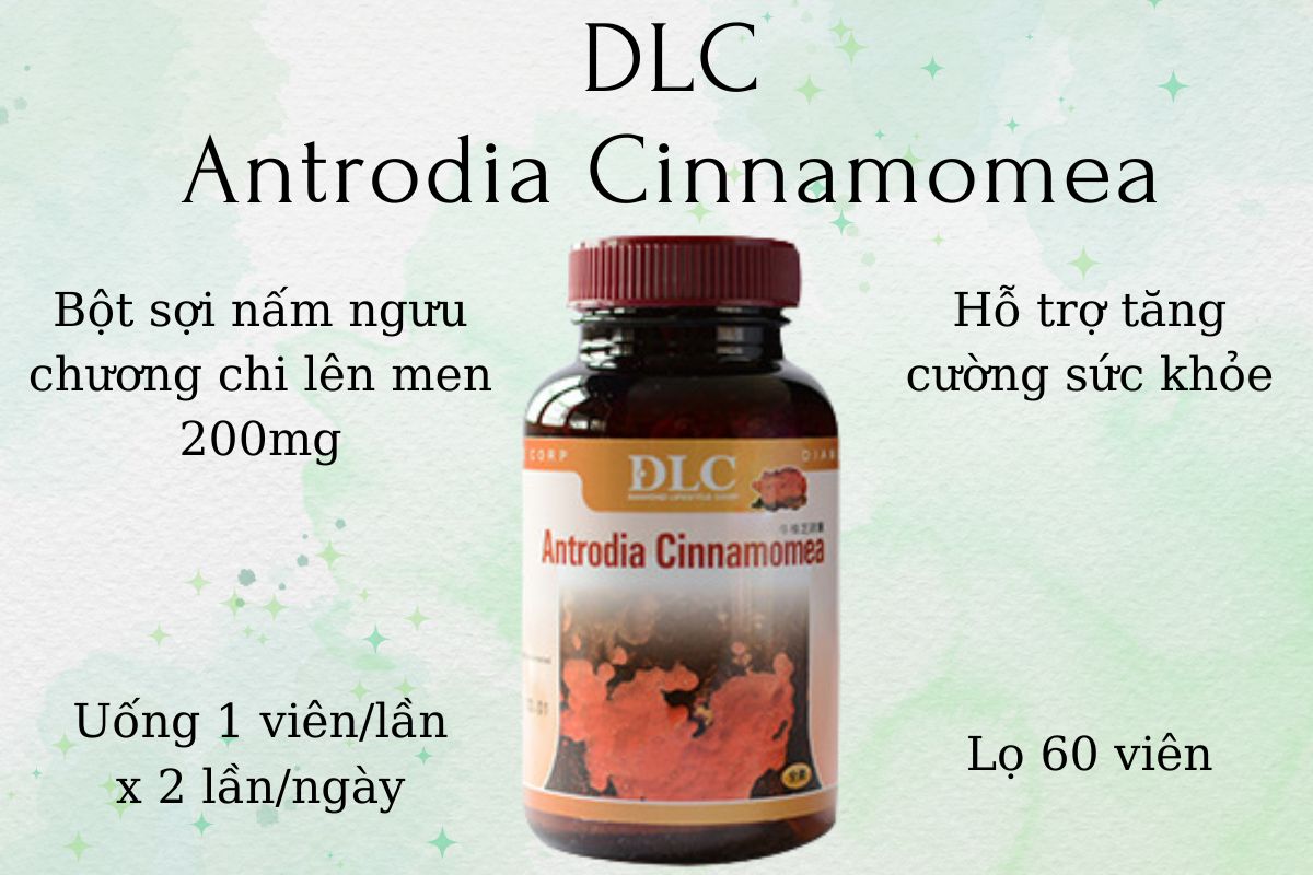 DLC Antrodia Cinnamomea có tác dụng gì?