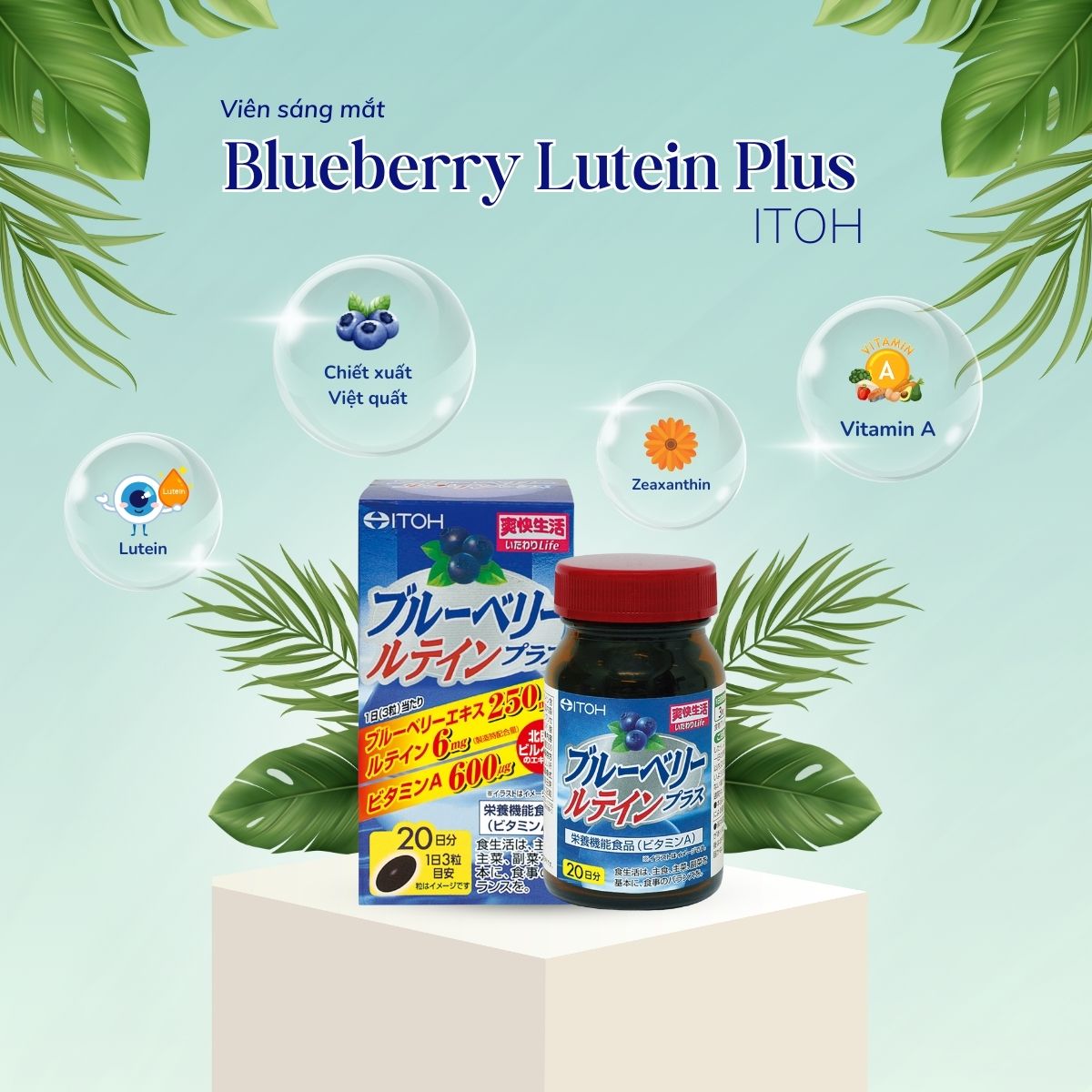 Blueberry Lutein Plus 15 Blueberry Lutein Plus