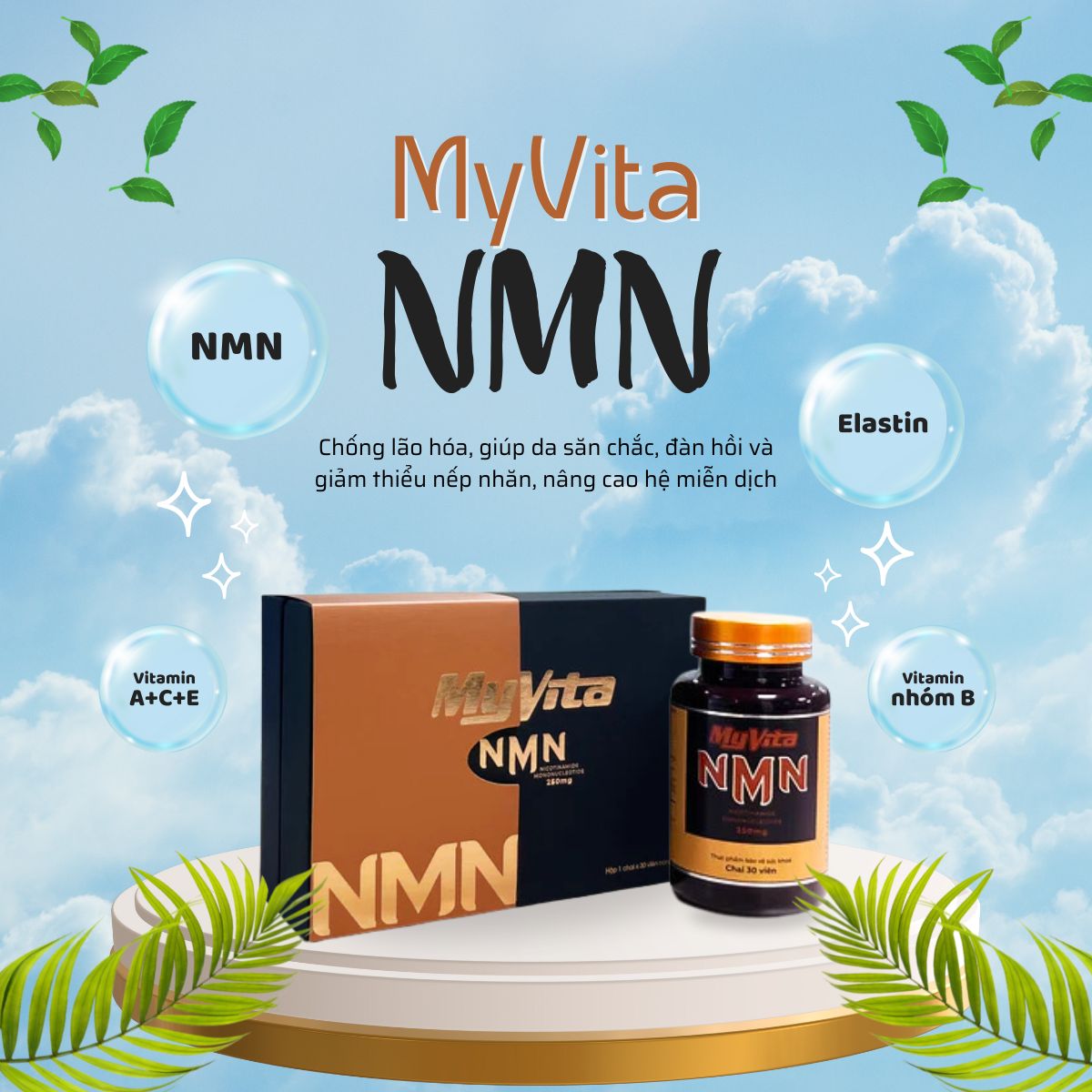 MyVita NMN 8 MyVita NMN