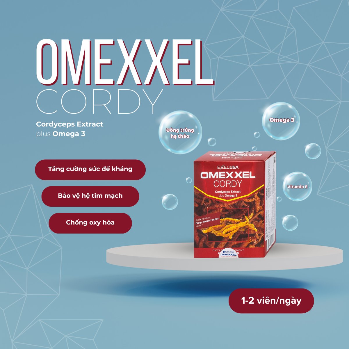 Omexxel Cordy 13 Omexxel Cordy