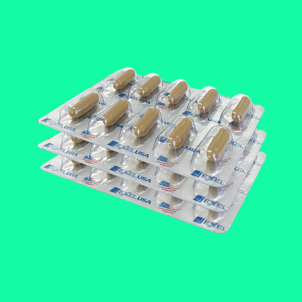 omexxel-cordy-8 Omexxel Cordy