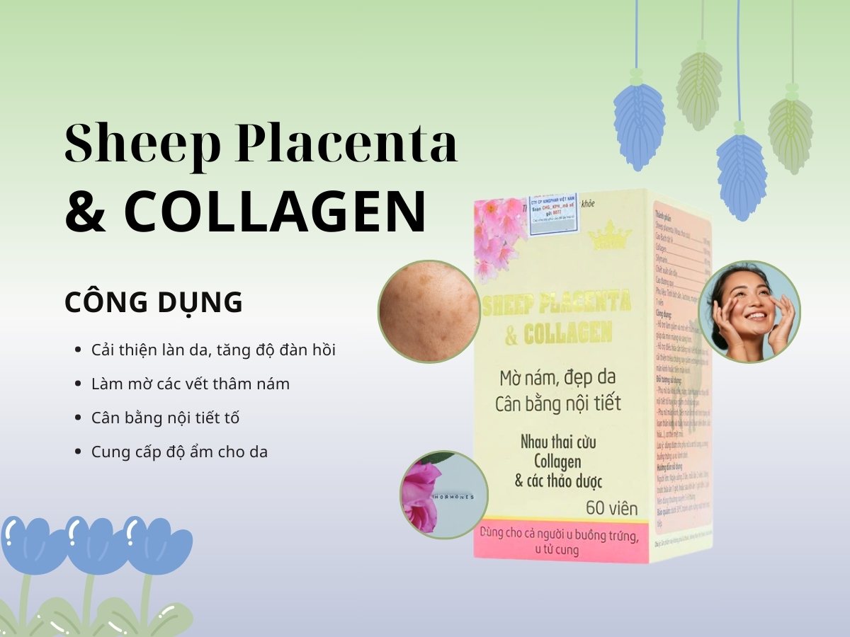 Sheep Placenta & Collagen Kingphar 11 Sheep Placenta & Collagen Kingphar