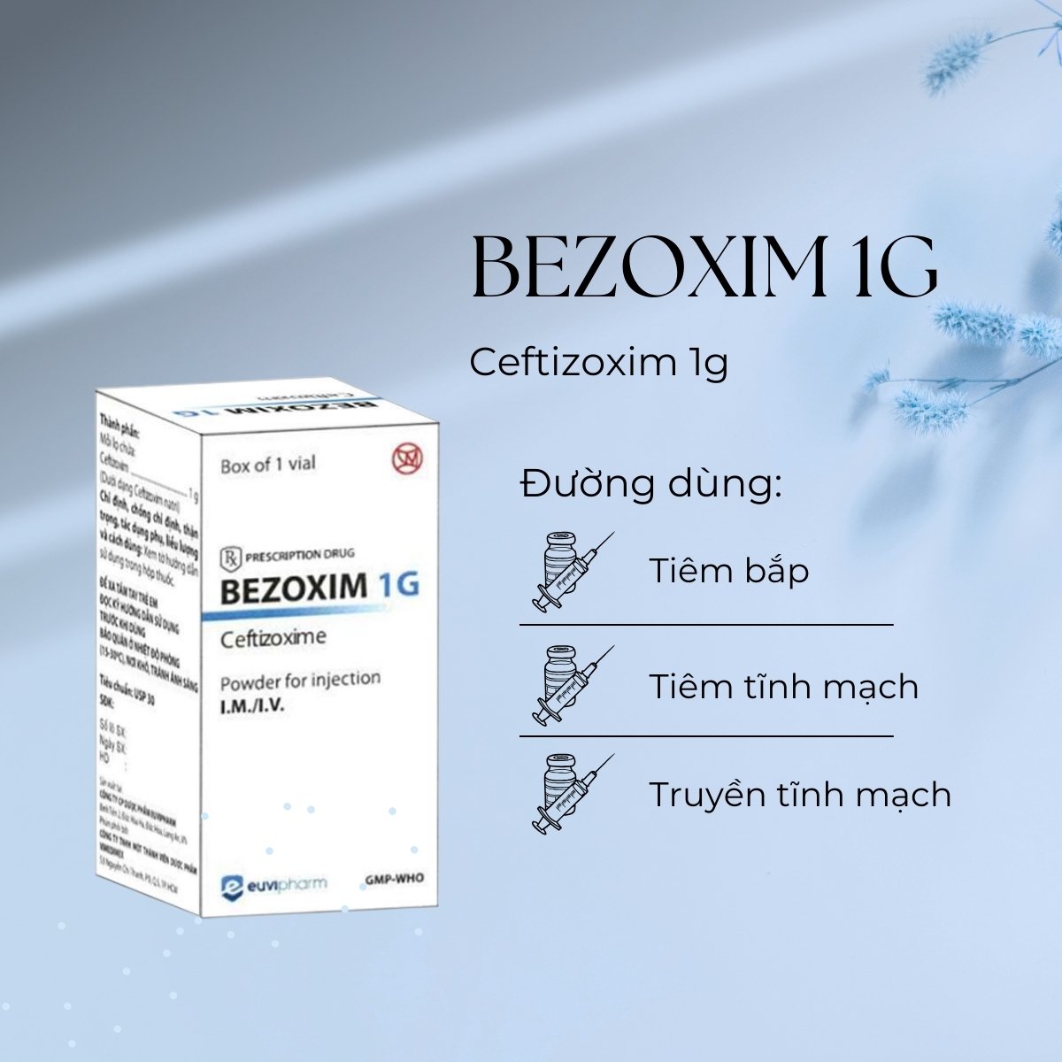 Bezoxim 1g 6 Thuốc Bezoxim 1g
