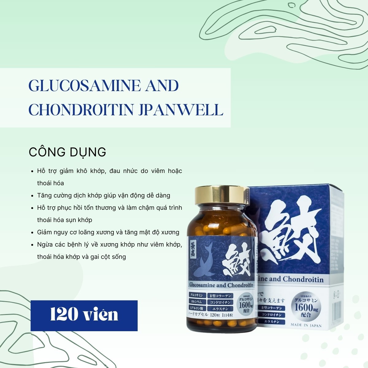 Glucosamine and Chondroitin Jpanwell 13 Glucosamine And Chondroitin Jpanwell