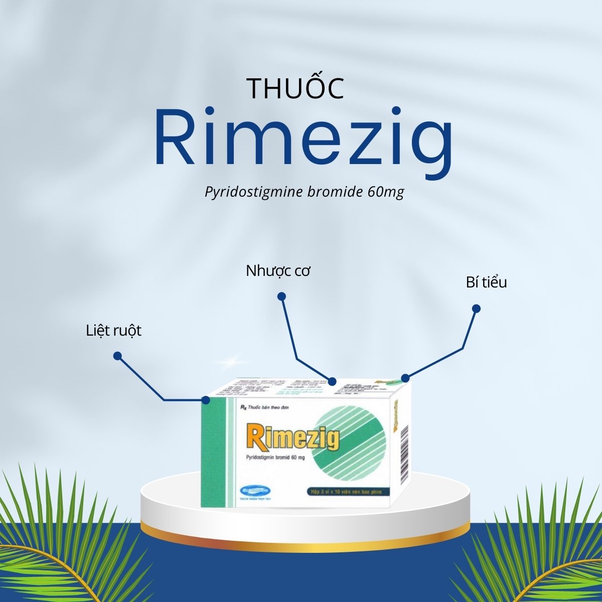 Rimezig 60mg 6 Thuốc Rimezig