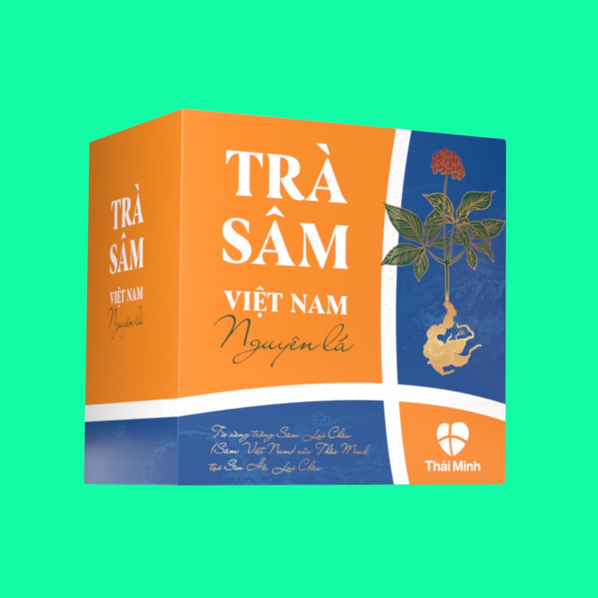tra-sam-viet-nam-nguyen-la-2 Trà Sâm Việt Nam Nguyên Lá