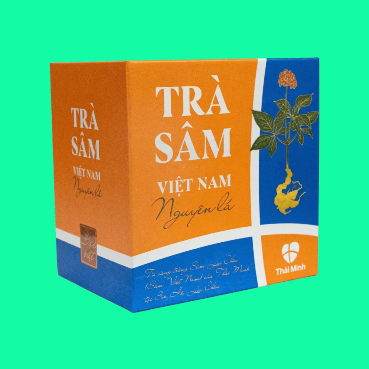 tra-sam-viet-nam-nguyen-la-4 Trà Sâm Việt Nam Nguyên Lá