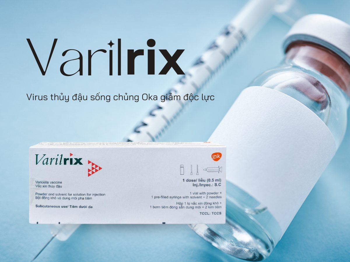 Vaccin Varilrix 12 Vaccine Varilrix