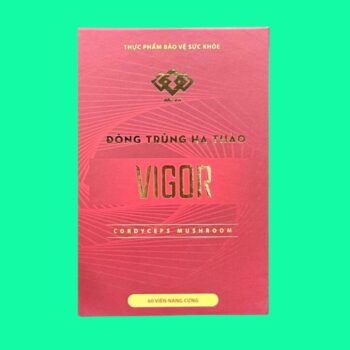 Đông Trùng Hạ Thảo Vigor 2 Đông Trùng Hạ Thảo Vigor