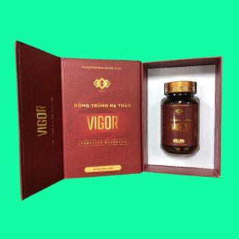 Đông Trùng Hạ Thảo Vigor 4 Đông Trùng Hạ Thảo Vigor