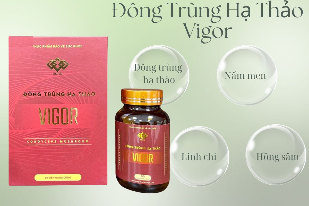 Đông Trùng Hạ Thảo Vigor 9 Thành phần Đông Trùng Hạ Thảo Vigor