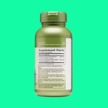Echinacea Extract 500mg 2 Echinacea Extract 500mg