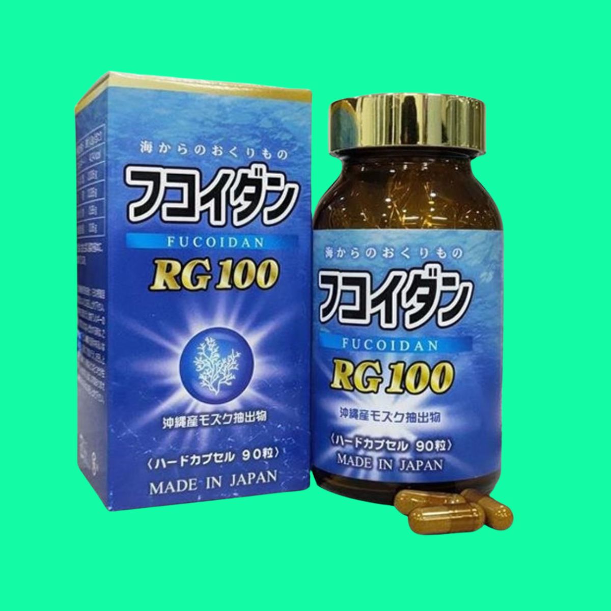 Fucoidan Rg 100 (1) Fucoidan Rg 100