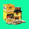 Fucoxxel 5 Fucoxxel