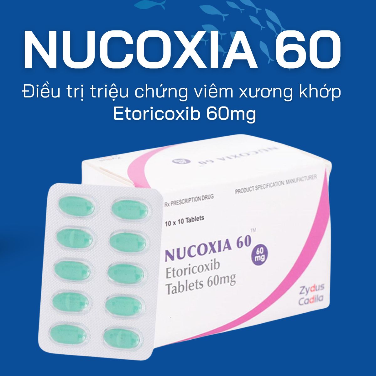 Nucoxia 60 11 Nucoxia 60 điều trị triệu chứng viêm xương khớp