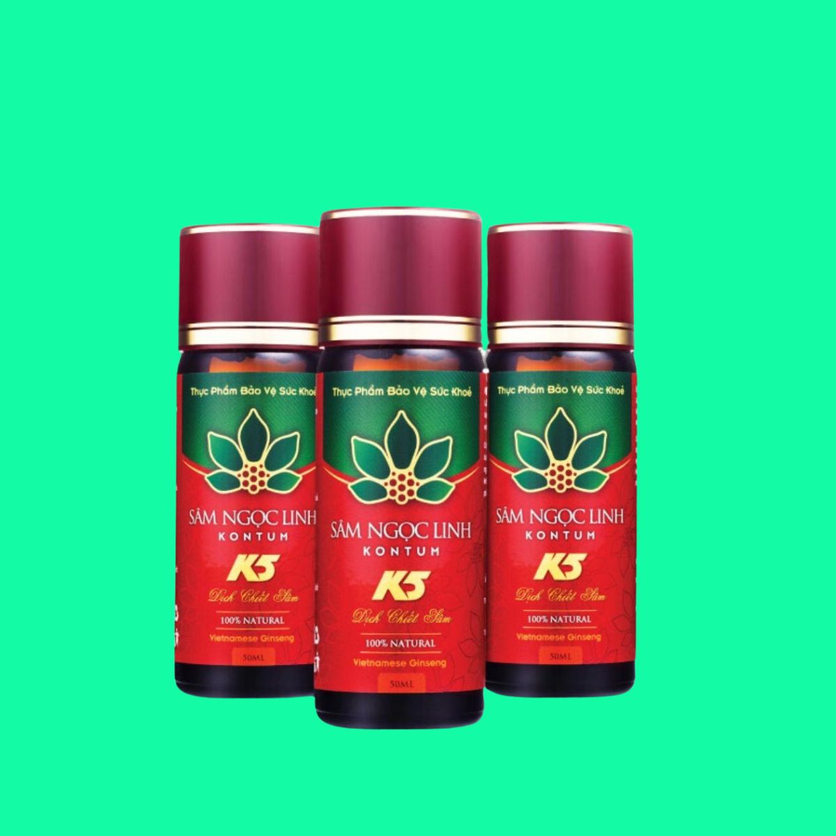 Sâm Ngọc Linh KonTum K5 (4) Sâm Ngọc Linh KonTum K5