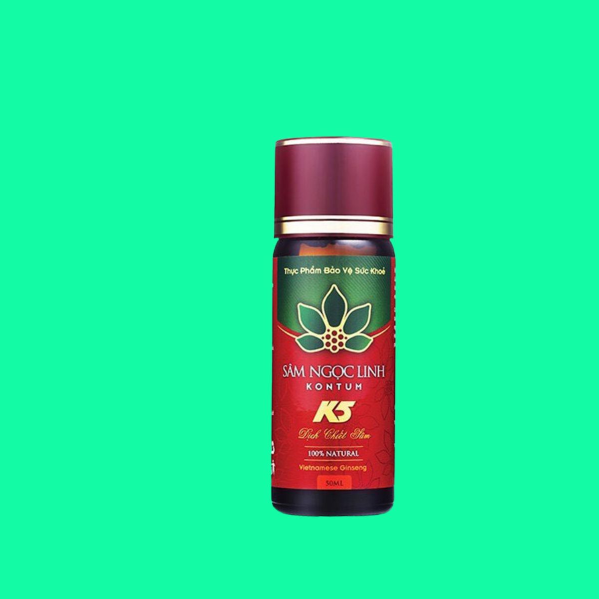 Sâm Ngọc Linh KonTum K5 (5) Sâm Ngọc Linh KonTum K5