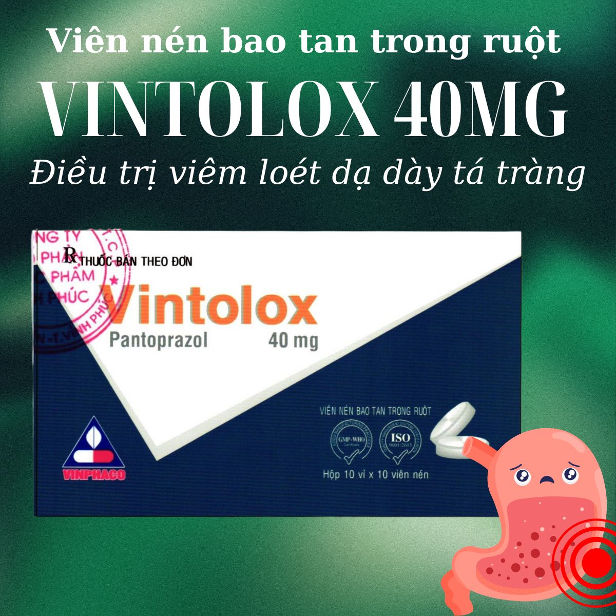 Vintolox (Viên nén bao tan trong ruột) 7 Tác dụng của thuốc Vintolox