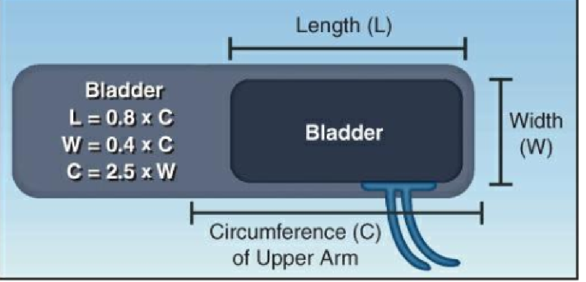 Chapter 14. TIẾP CẬN LÂM SÀNG SHOCK - Ths. Bs HỒ HOÀNG KIM – EDICU – BV NGUYỄN TRI PHƯƠNG 6 HÌNH 14.3 Mối quan hệ tối ưu giữa chiều cao (H) và chiều rộng (W) của túi hơi và chu vi (C) của cánh tay trên.