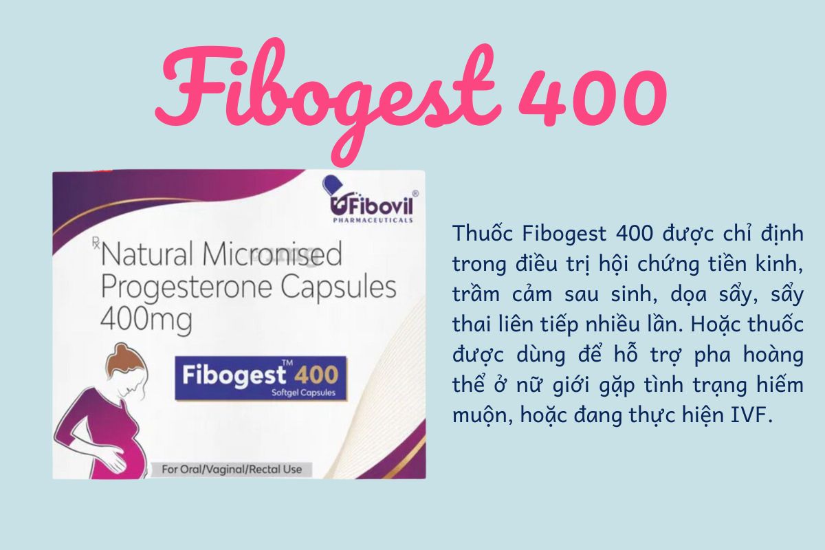 Fibogest 400 11 Chỉ định dùng thuốc Fibogest 400
