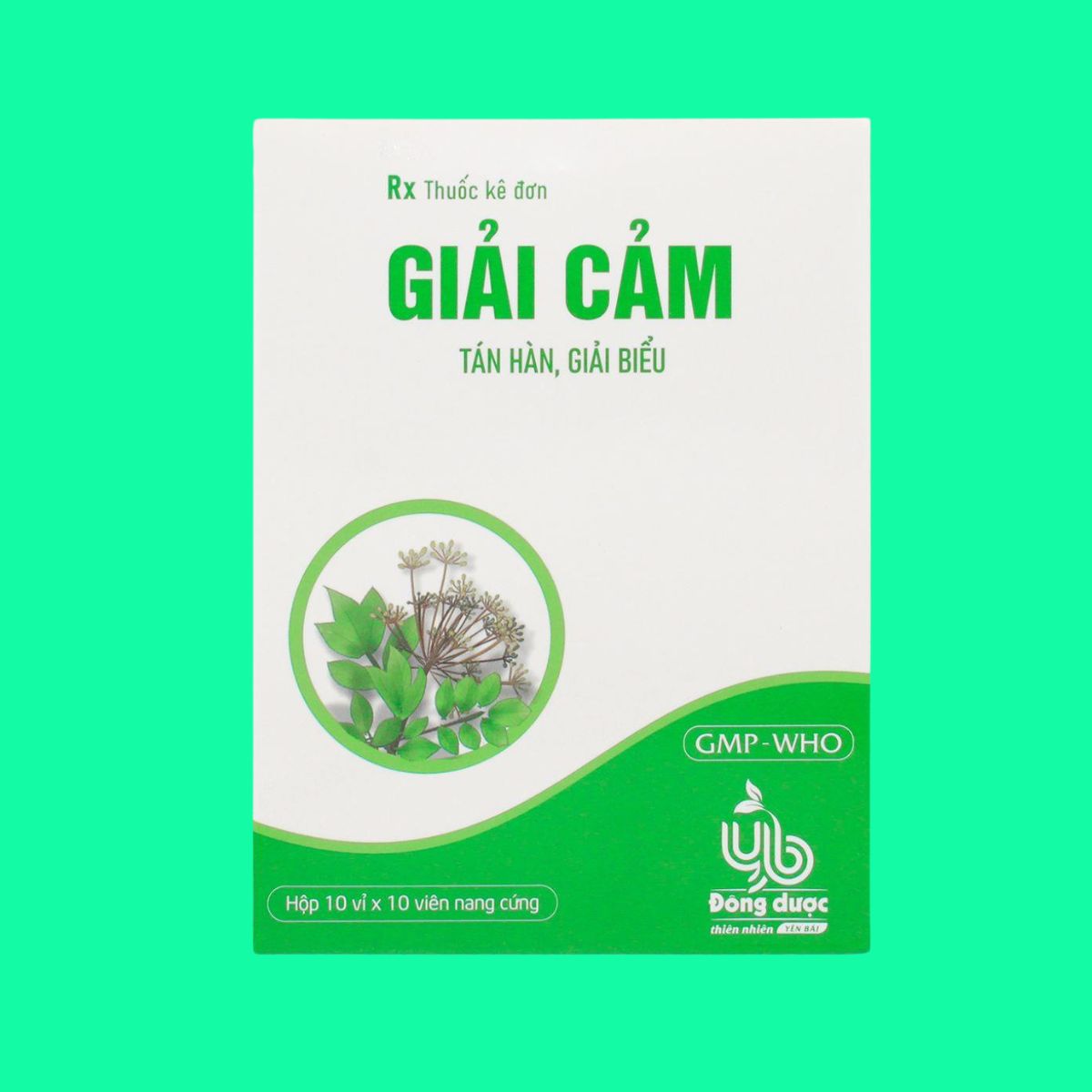 Giải Cảm Yên Bái (1) Giải Cảm Yên Bái