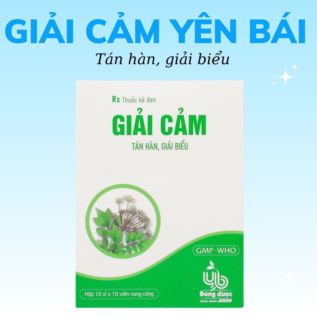 Giải Cảm Yên Bái 7 Chỉ định thuốc Giải Cảm Yên Bái