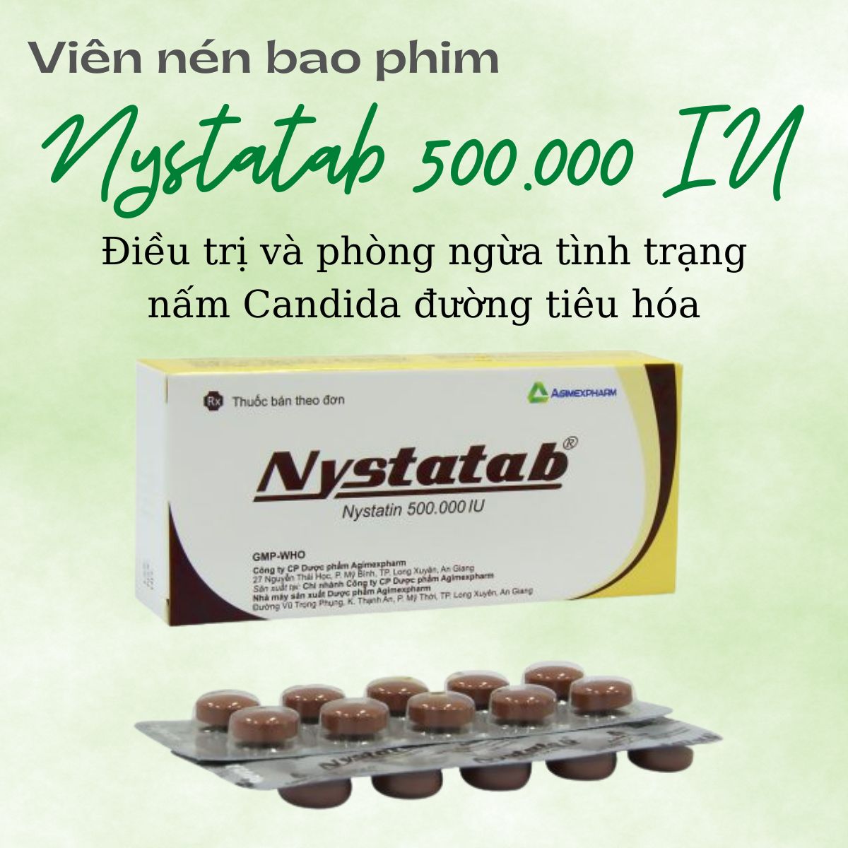 Chỉ định viên nén bao phim Nystatab