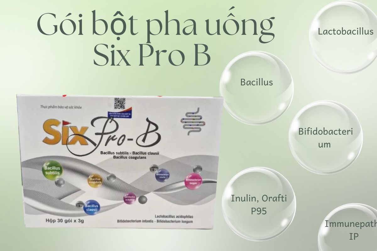 Six Pro - B 14 Thành phần sản phẩm Six Pro B