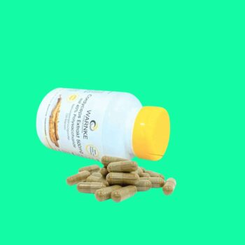 Warnke Cordyceps Extrakt 500mg 7 Warnke Cordyceps Extrakt 500mg